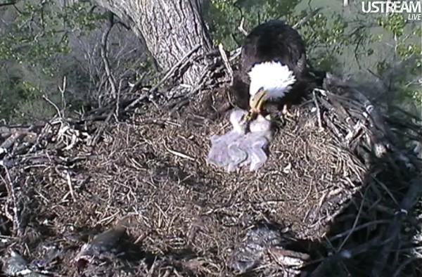 ScreenHunter_01 Apr. 06 17.56.jpg